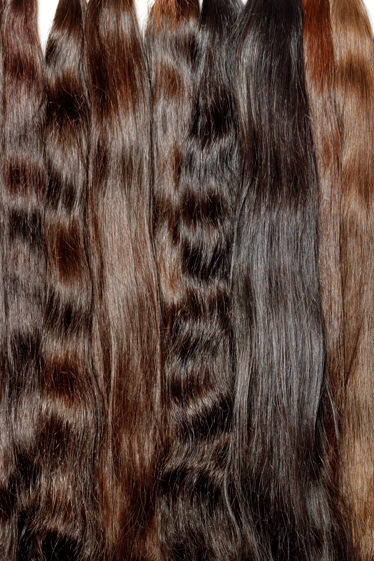 Bundles of natural shiny healthy human hair in various chocolate shades for extensions are used in the beauty industry. Vertical image, copy space.